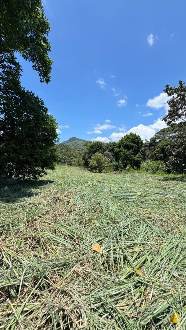 🌿✨ Terreno en Venta ✨🌿 1172m2 EN ARAPICOS ENTRE SUCÚA Y MACAS