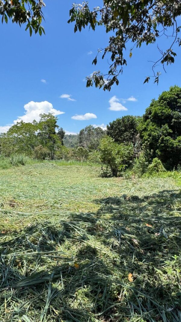 🌿✨ Terreno en Venta ✨🌿 1172m2 EN ARAPICOS ENTRE SUCÚA Y MACAS