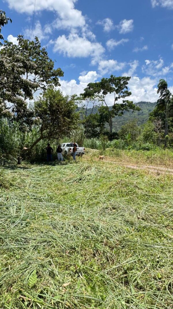 🌿✨ Terreno en Venta ✨🌿 1172m2 EN ARAPICOS ENTRE SUCÚA Y MACAS