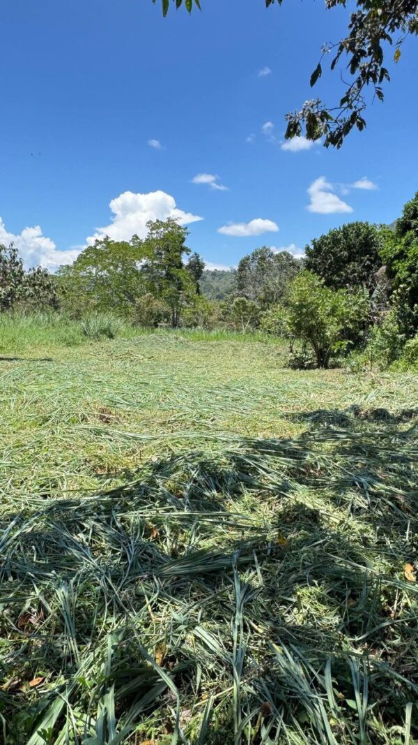 🌿✨ Terreno en Venta ✨🌿 1172m2 EN ARAPICOS ENTRE SUCÚA Y MACAS