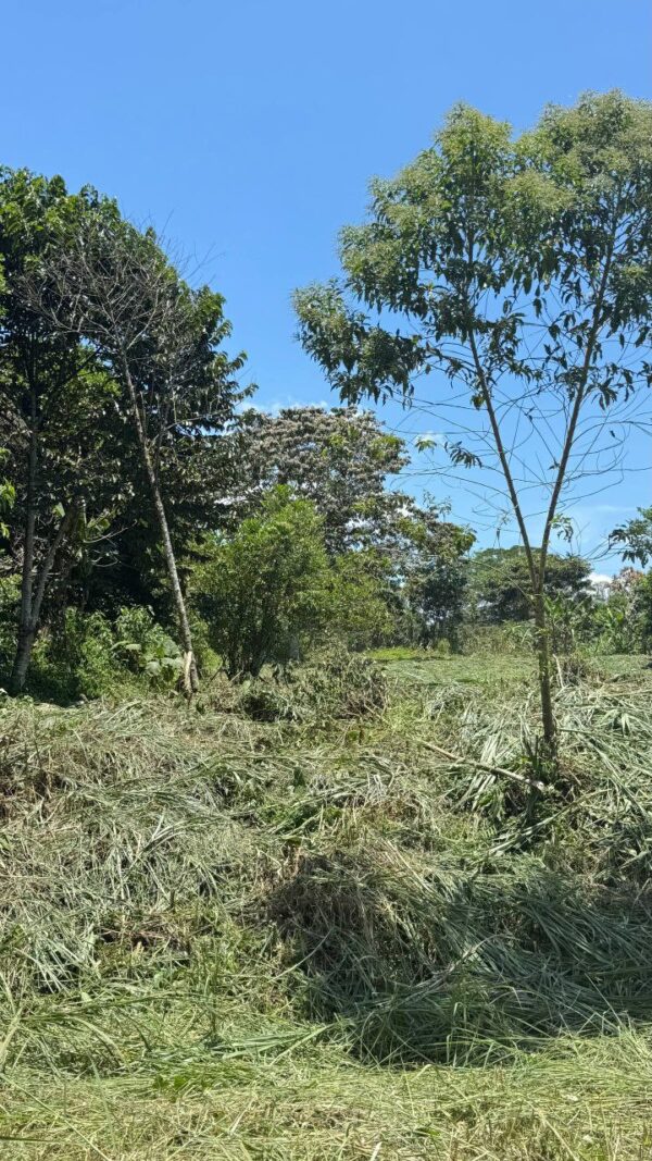 🌿✨ Terreno en Venta ✨🌿 1172m2 EN ARAPICOS ENTRE SUCÚA Y MACAS