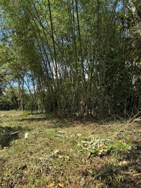 5089378423351741315_121 🌿 Terreno en venta a 5 minutos de la vía principal en la "Y" de Santa Ana vía Macas-Puyo 🏞️📍