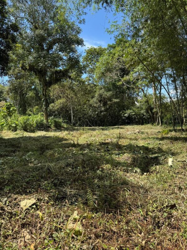 5089378423351741316_121 🌿 Terreno en venta a 5 minutos de la vía principal en la "Y" de Santa Ana vía Macas-Puyo 🏞️📍