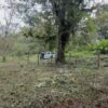 5089378423351741318_121 🌿 Terreno en venta a 5 minutos de la vía principal en la "Y" de Santa Ana vía Macas-Puyo 🏞️📍