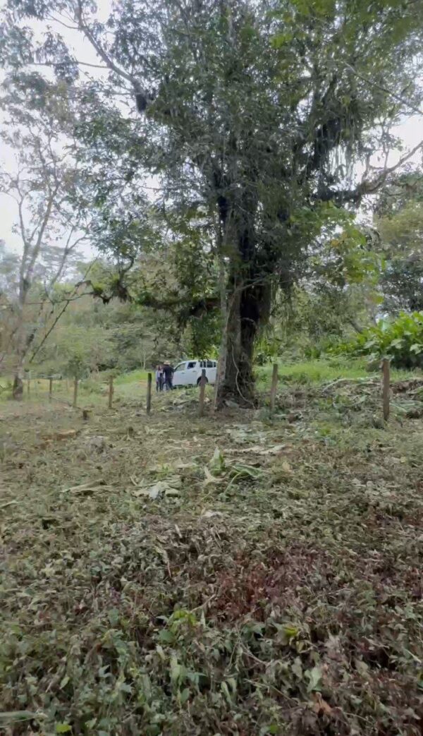 5089378423351741318_121 🌿 Terreno en venta a 5 minutos de la vía principal en la "Y" de Santa Ana vía Macas-Puyo 🏞️📍