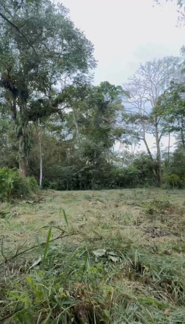 5089378423351741319_121 🌿 Terreno en venta a 5 minutos de la vía principal en la "Y" de Santa Ana vía Macas-Puyo 🏞️📍
