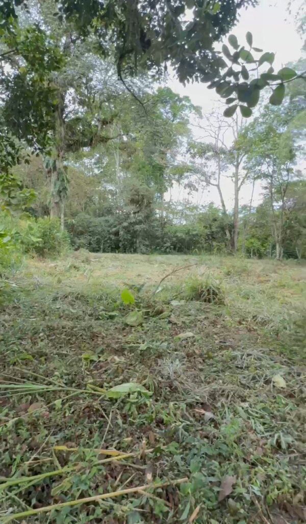 5089378423351741320_121 🌿 Terreno en venta a 5 minutos de la vía principal en la "Y" de Santa Ana vía Macas-Puyo 🏞️📍