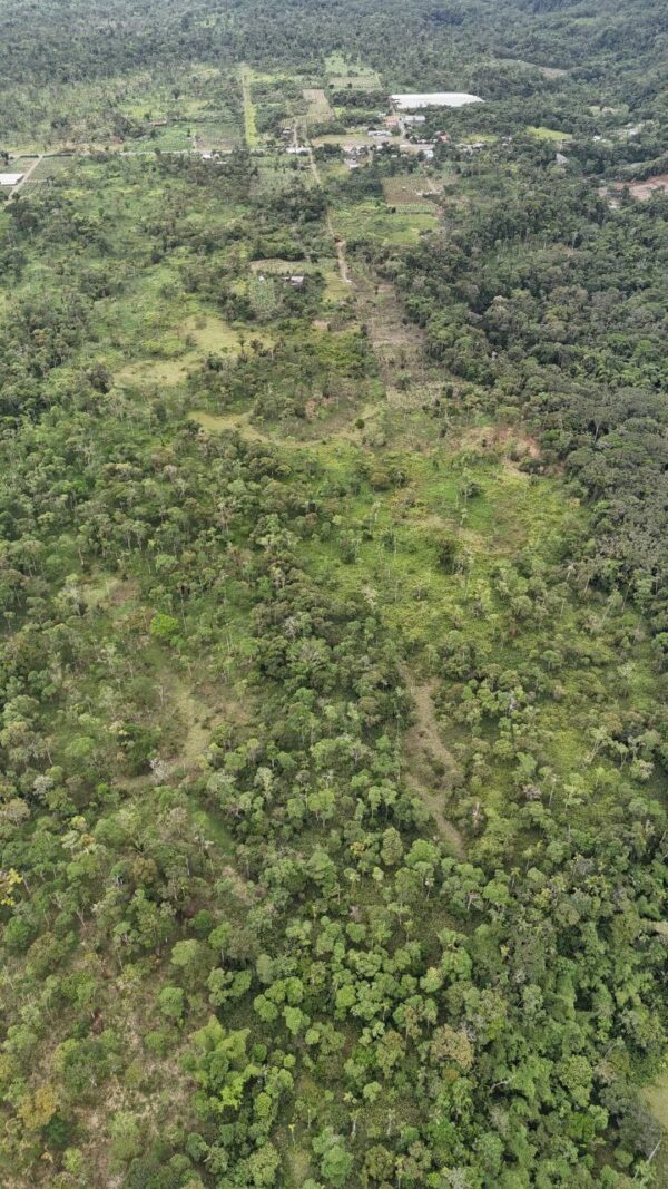 🌿✨ GRAN OPORTUNIDAD – FINCA EN VENTA ✨🌿 44 Hectáreas