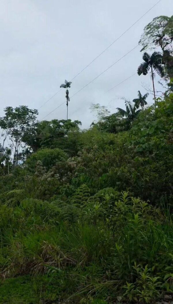 🌿✨ GRAN OPORTUNIDAD – FINCA EN VENTA ✨🌿 44 Hectáreas