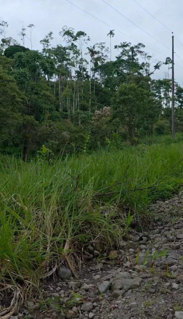 🌿✨ GRAN OPORTUNIDAD – FINCA EN VENTA ✨🌿 44 Hectáreas