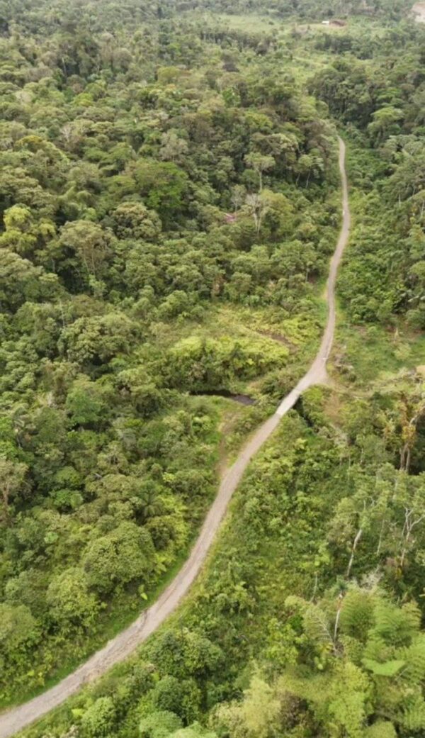 🌿✨ GRAN OPORTUNIDAD – FINCA EN VENTA ✨🌿 44 Hectáreas