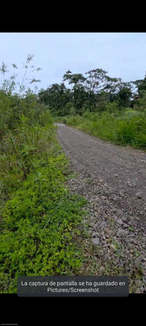 🌿✨ GRAN OPORTUNIDAD – FINCA EN VENTA ✨🌿 44 Hectáreas