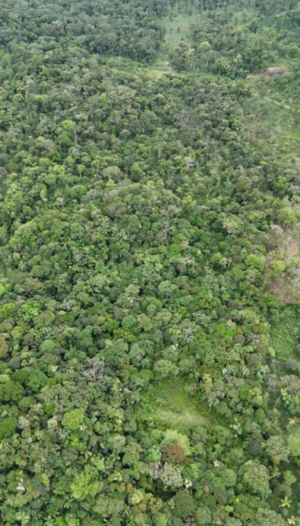 🌿✨ GRAN OPORTUNIDAD – FINCA EN VENTA ✨🌿 44 Hectáreas