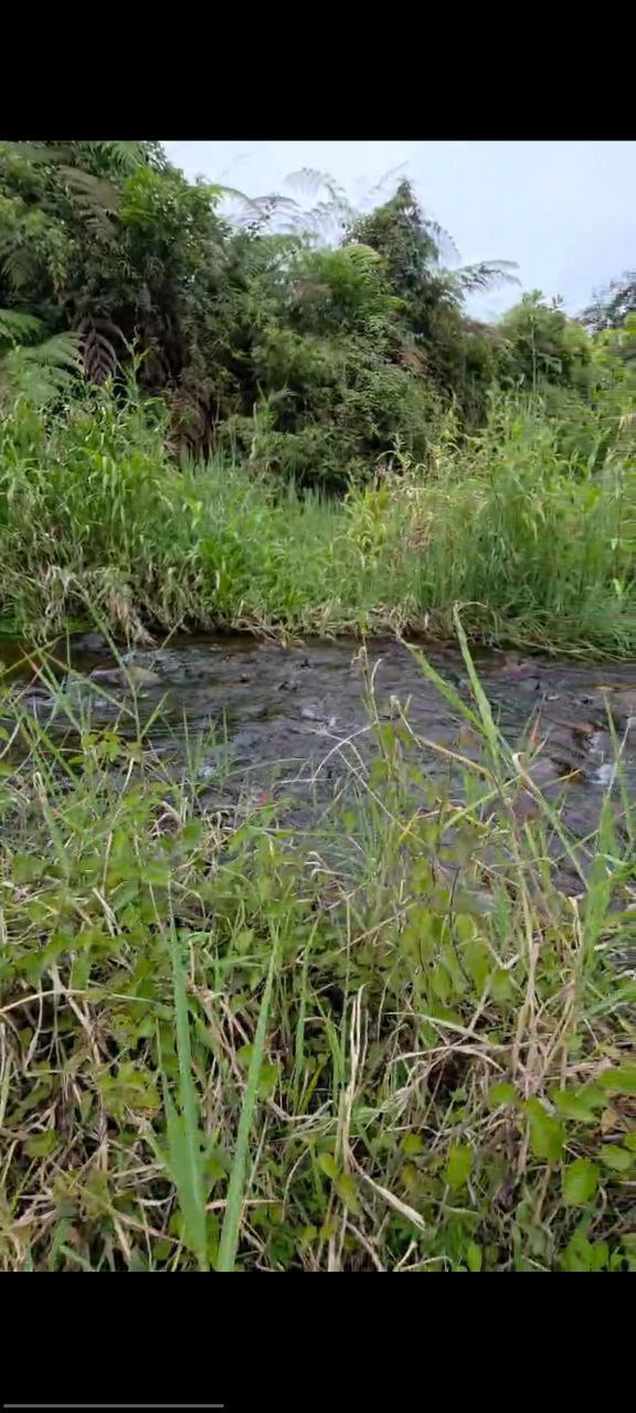 🌿✨ GRAN OPORTUNIDAD – FINCA EN VENTA ✨🌿 44 Hectáreas