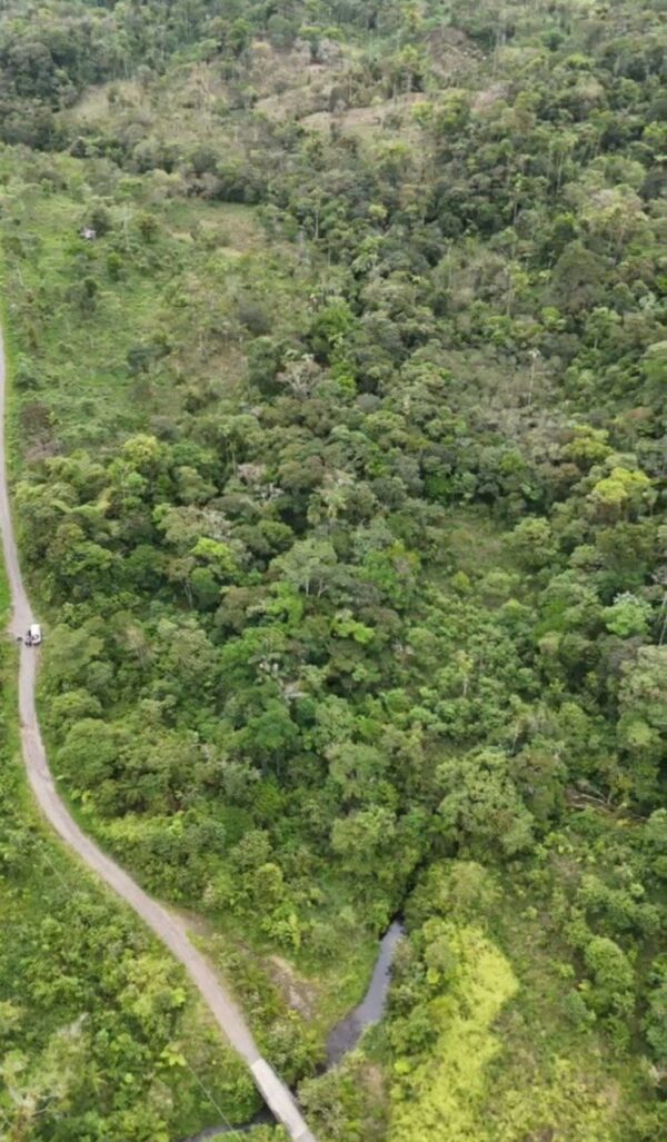 🌿✨ GRAN OPORTUNIDAD – FINCA EN VENTA ✨🌿 44 Hectáreas