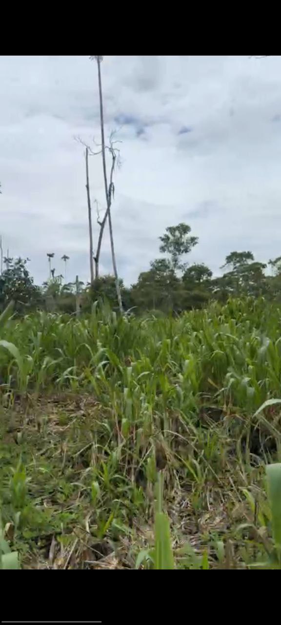 🌿 Finca en venta en Palora 🌿  24 Has