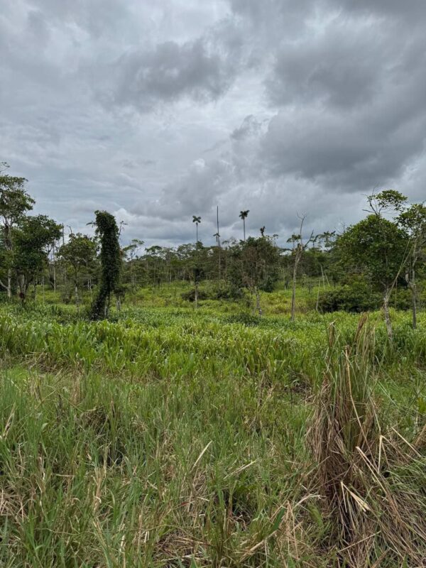 🌿 Finca en venta en Palora 🌿  24 Has