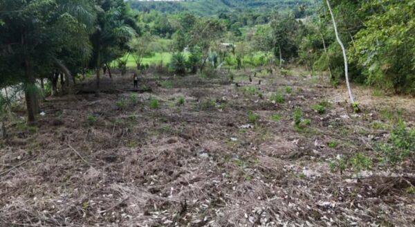 Lote de 1400 m2 esquinero en Sucúa