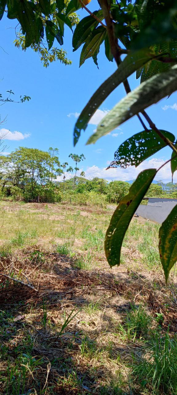 5152230648343890804_121 ✨ ¡Oportunidad Única en el Cantón Puyo, Provincia del Pastaza! ✨