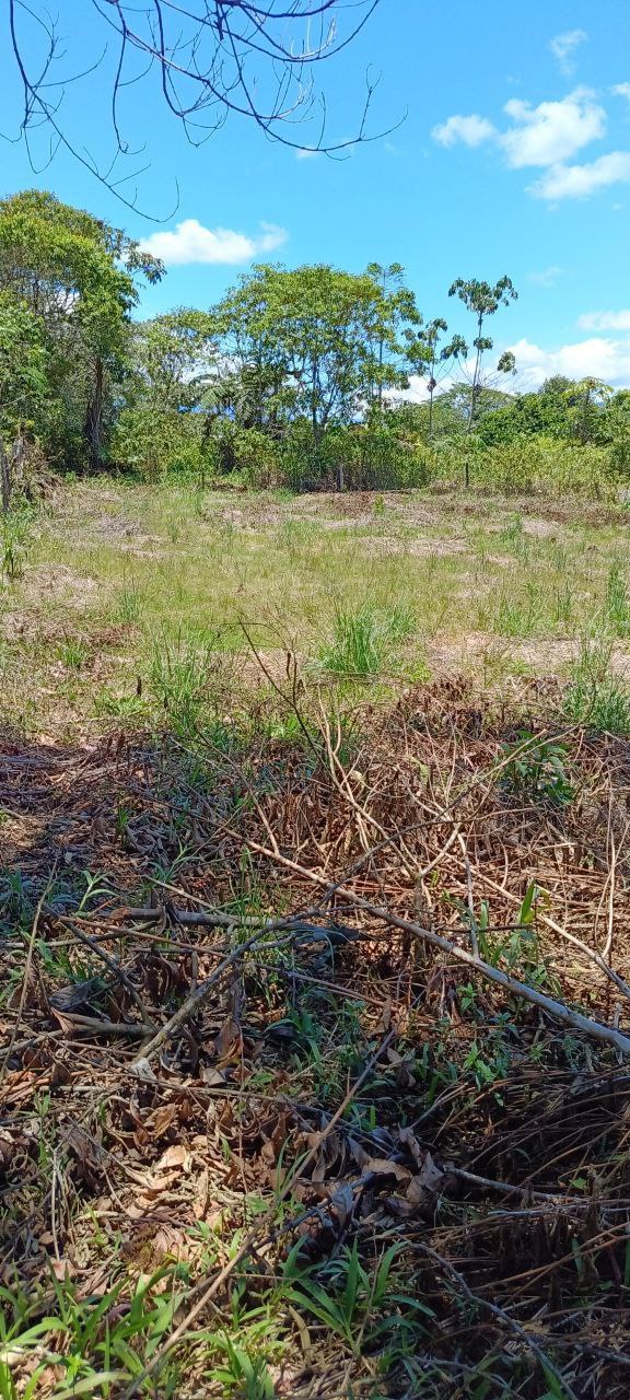 5152230648343890806_121 ✨ ¡Oportunidad Única en el Cantón Puyo, Provincia del Pastaza! ✨