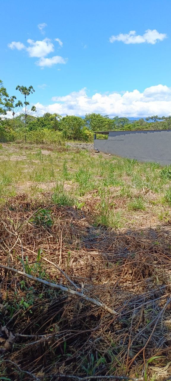 5152230648343890807_121 ✨ ¡Oportunidad Única en el Cantón Puyo, Provincia del Pastaza! ✨