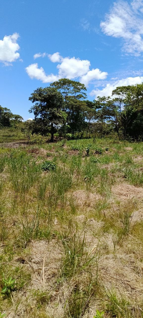 5152230648343890808_121 ✨ ¡Oportunidad Única en el Cantón Puyo, Provincia del Pastaza! ✨