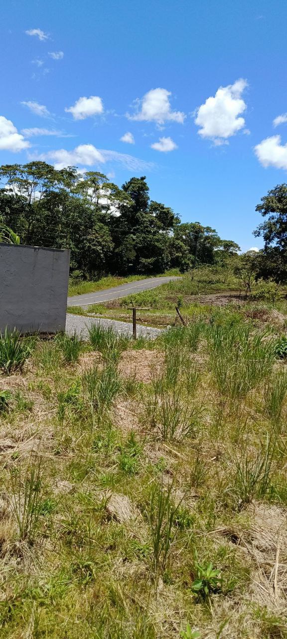 5152230648343890809_121 ✨ ¡Oportunidad Única en el Cantón Puyo, Provincia del Pastaza! ✨