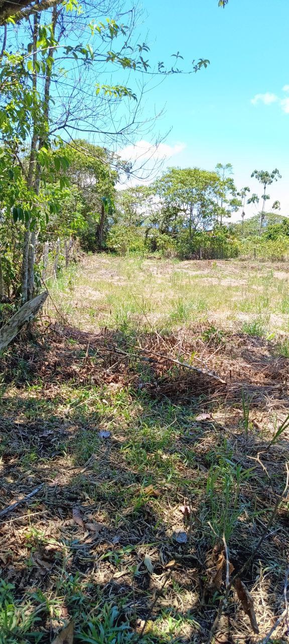 5152230648343890811_121 ✨ ¡Oportunidad Única en el Cantón Puyo, Provincia del Pastaza! ✨