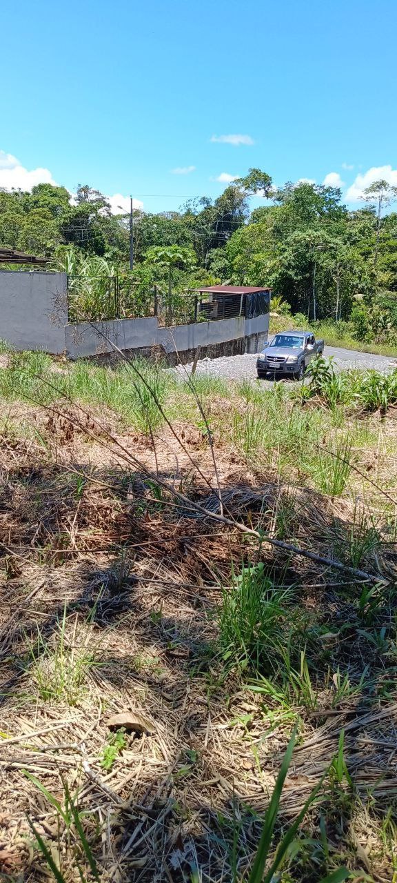 5152230648343890812_121 ✨ ¡Oportunidad Única en el Cantón Puyo, Provincia del Pastaza! ✨