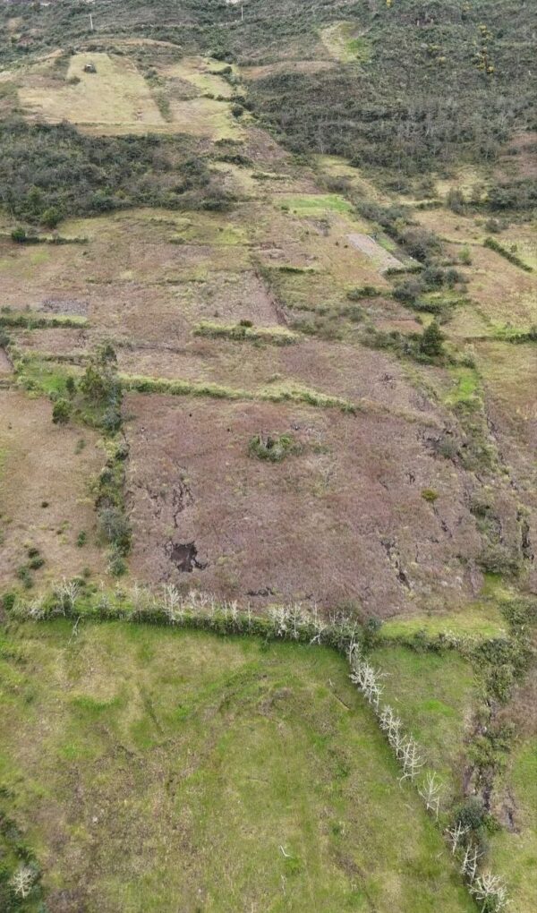 5166186955593681682_121 7000 m2 ¡Oportunidad única en el Cantón Sígsig, provincia del Azuay!