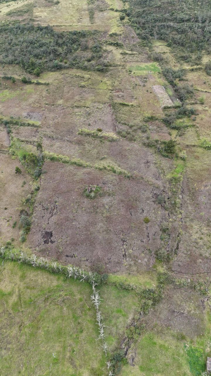 7000 m2 ¡Oportunidad única en el Cantón Sígsig, provincia del Azuay! - Imagen 4
