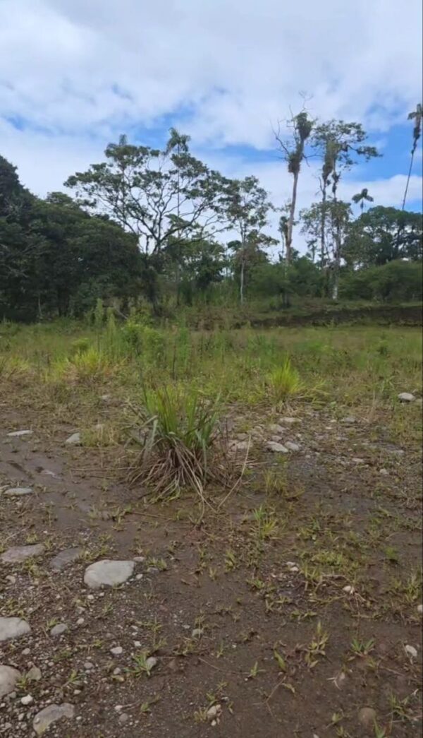 5166186955593681705_121 2 Lotes1300 m2 en Huamboya