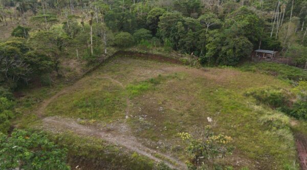 5166186955593681710_121 2 Lotes1300 m2 en Huamboya