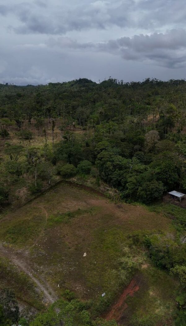 5166186955593681712_121 2 Lotes1300 m2 en Huamboya