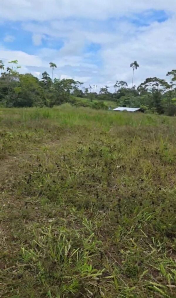 5166186955593681713_121 2 Lotes1300 m2 en Huamboya