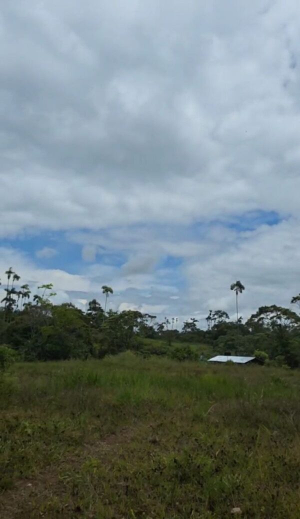 5166186955593681714_121 2 Lotes1300 m2 en Huamboya