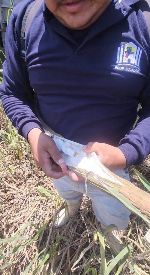 Captura de pantalla 2025-11-06 143322 🌿 FINCA EN VENTA – Tiwintza, SECTOR San José de Morona 🌿