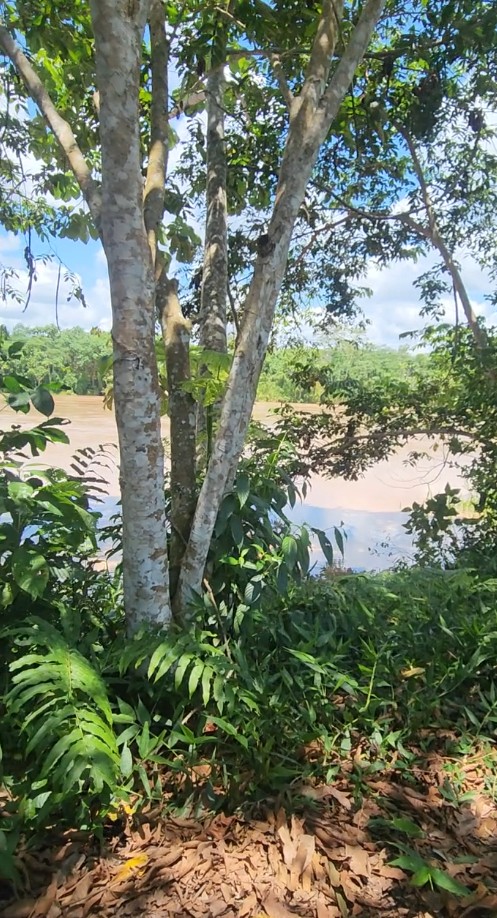 Captura de pantalla 2025-11-06 144324 🌿 FINCA EN VENTA – Tiwintza, SECTOR San José de Morona 🌿