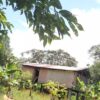 Captura de pantalla 2025-11-06 144655 🌿 FINCA EN VENTA – Tiwintza, SECTOR San José de Morona 🌿