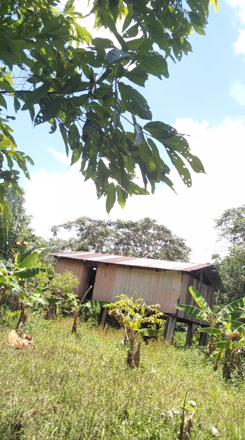 Captura de pantalla 2025-11-06 144655 🌿 FINCA EN VENTA – Tiwintza, SECTOR San José de Morona 🌿