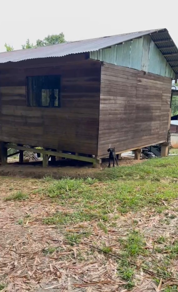 Finca Cacaotera Provincia del Napo Cantón Tena