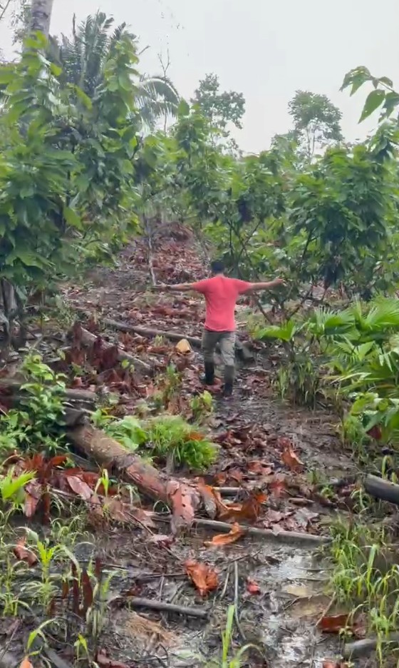 Finca Cacaotera Provincia del Napo Cantón Tena