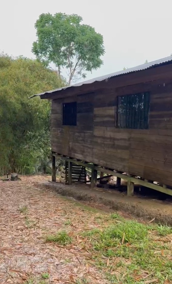 Finca Cacaotera Provincia del Napo Cantón Tena