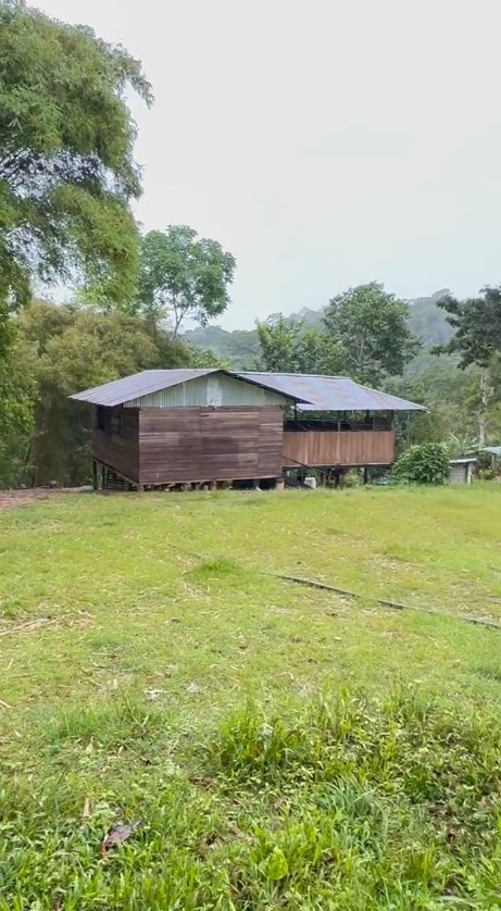 Finca Cacaotera Provincia del Napo Cantón Tena