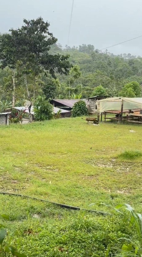 Finca Cacaotera Provincia del Napo Cantón Tena