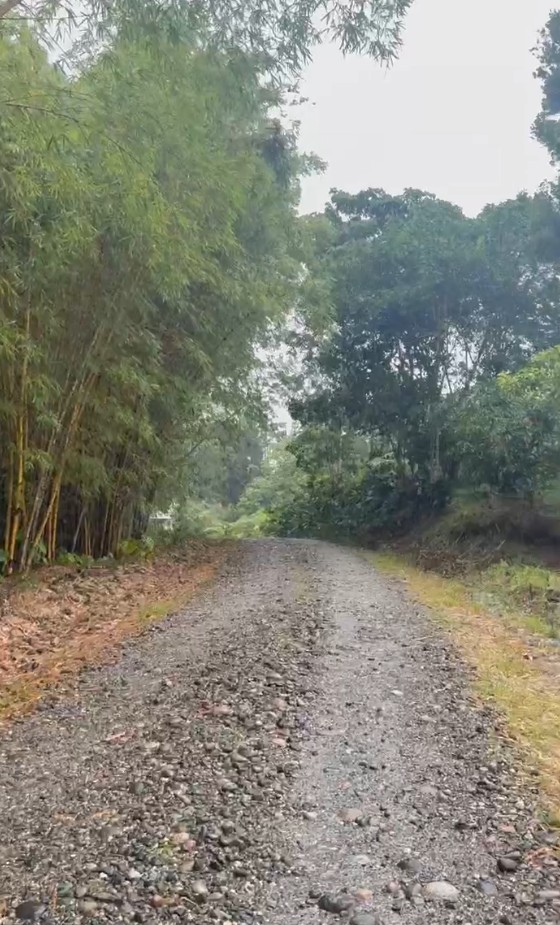 Finca Cacaotera Provincia del Napo Cantón Tena