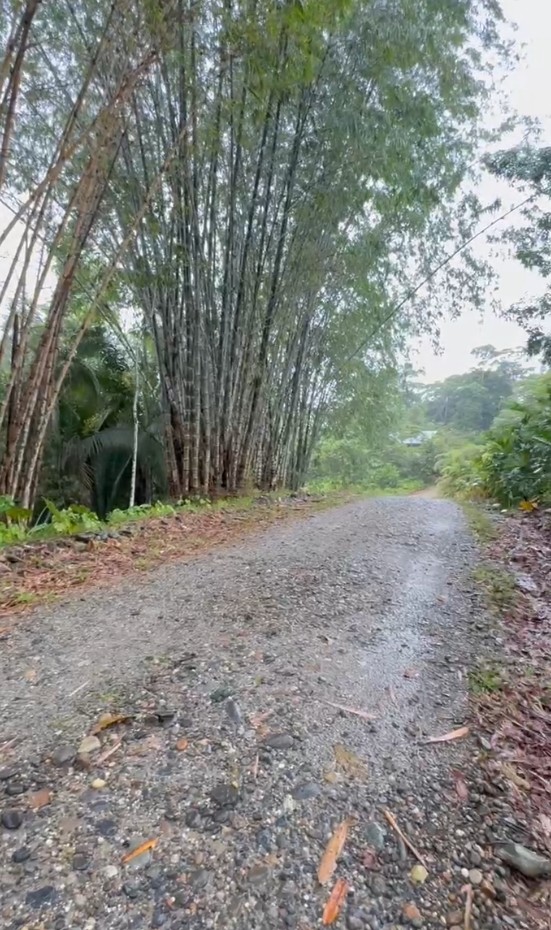 Finca Cacaotera Provincia del Napo Cantón Tena
