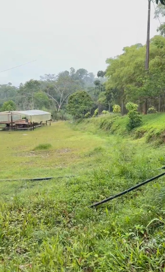 Finca Cacaotera Provincia del Napo Cantón Tena