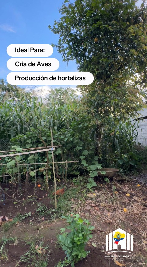 Casa En venta Macas Barrio "La 27 de Febrero"