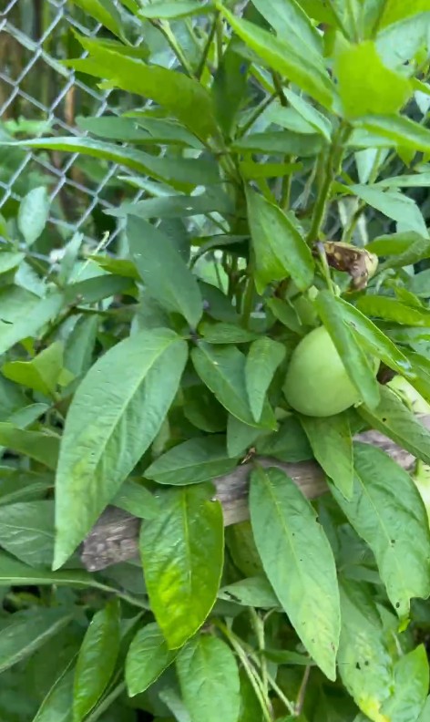 Casa En venta Macas Barrio "La 27 de Febrero"